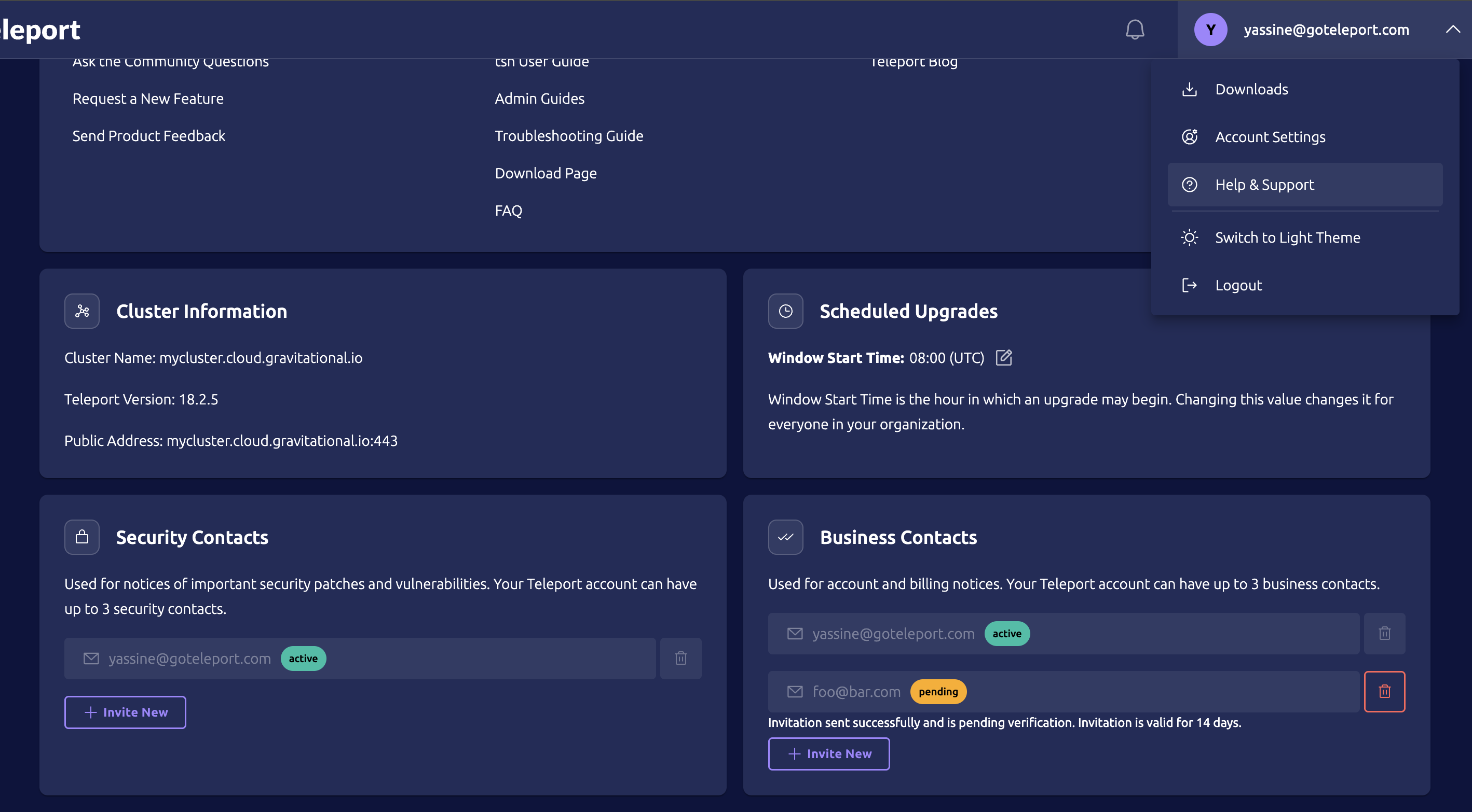 Web UI view showing security and business contacts options